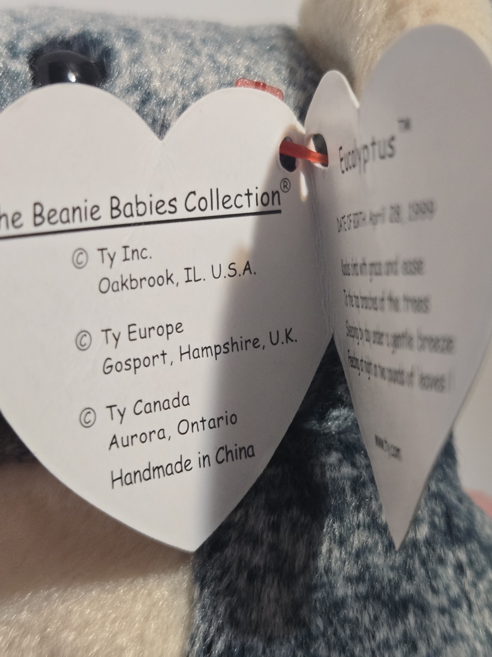 Ty Beanie BabyEucalyptus the Koala- introduced in 1999 - Picture 10 of 11